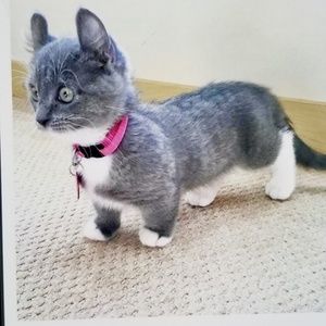 Meet your Posher, Andrew